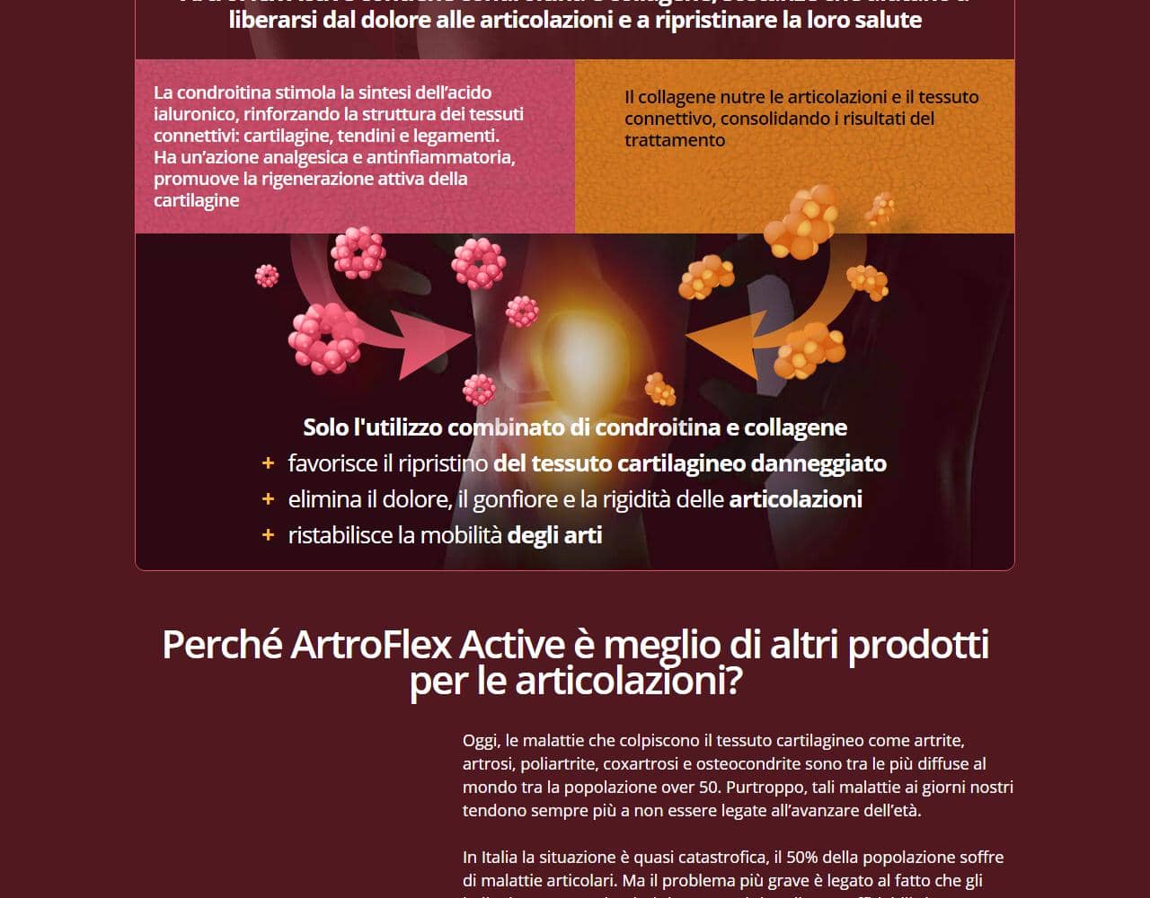 Artro Flex Active 2