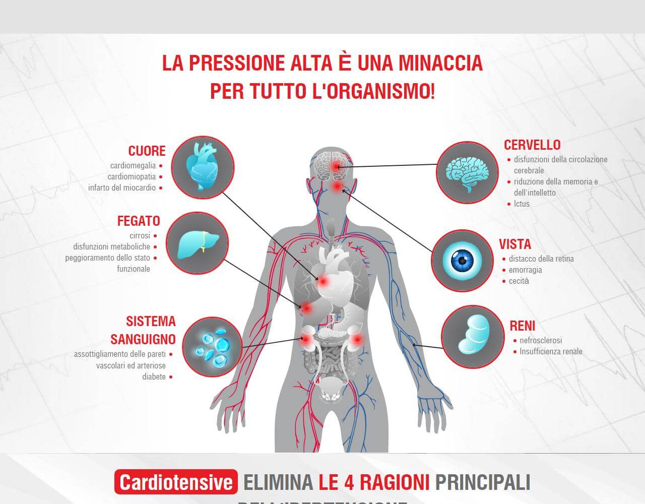 Cardiotensive 3