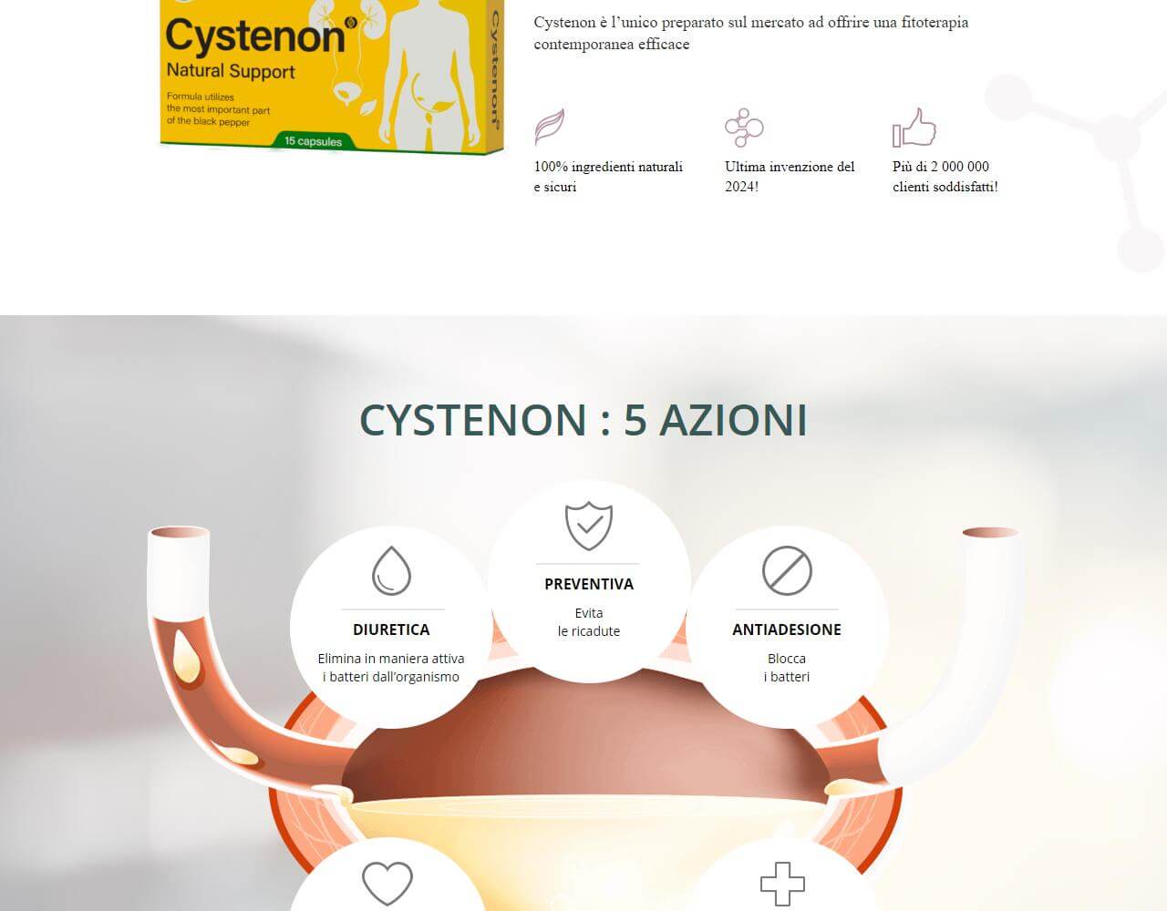 Cystenon 4