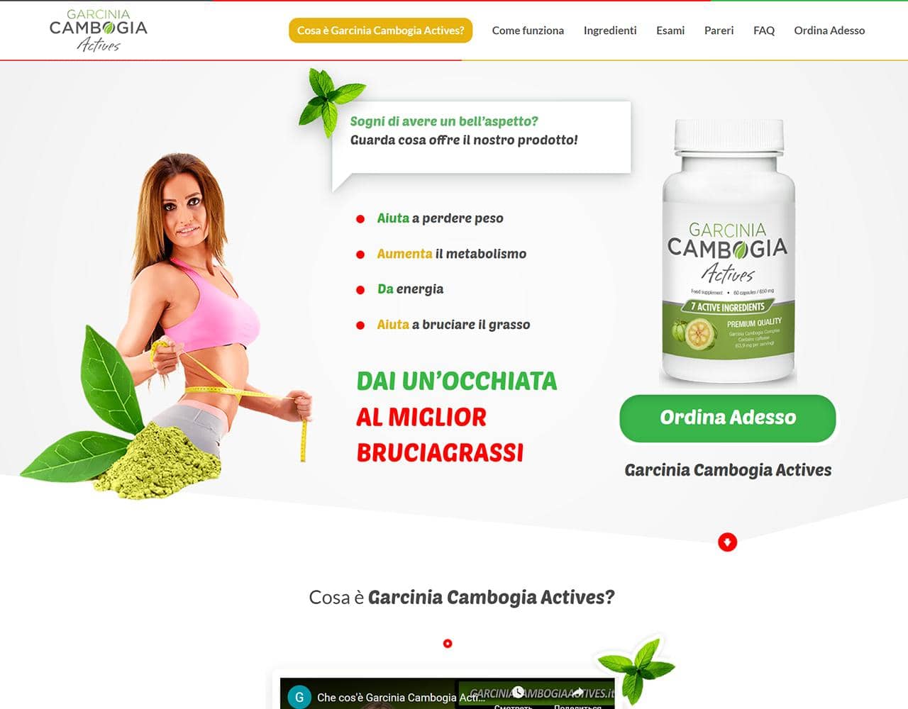 Garcinia Cambogia Actives 1