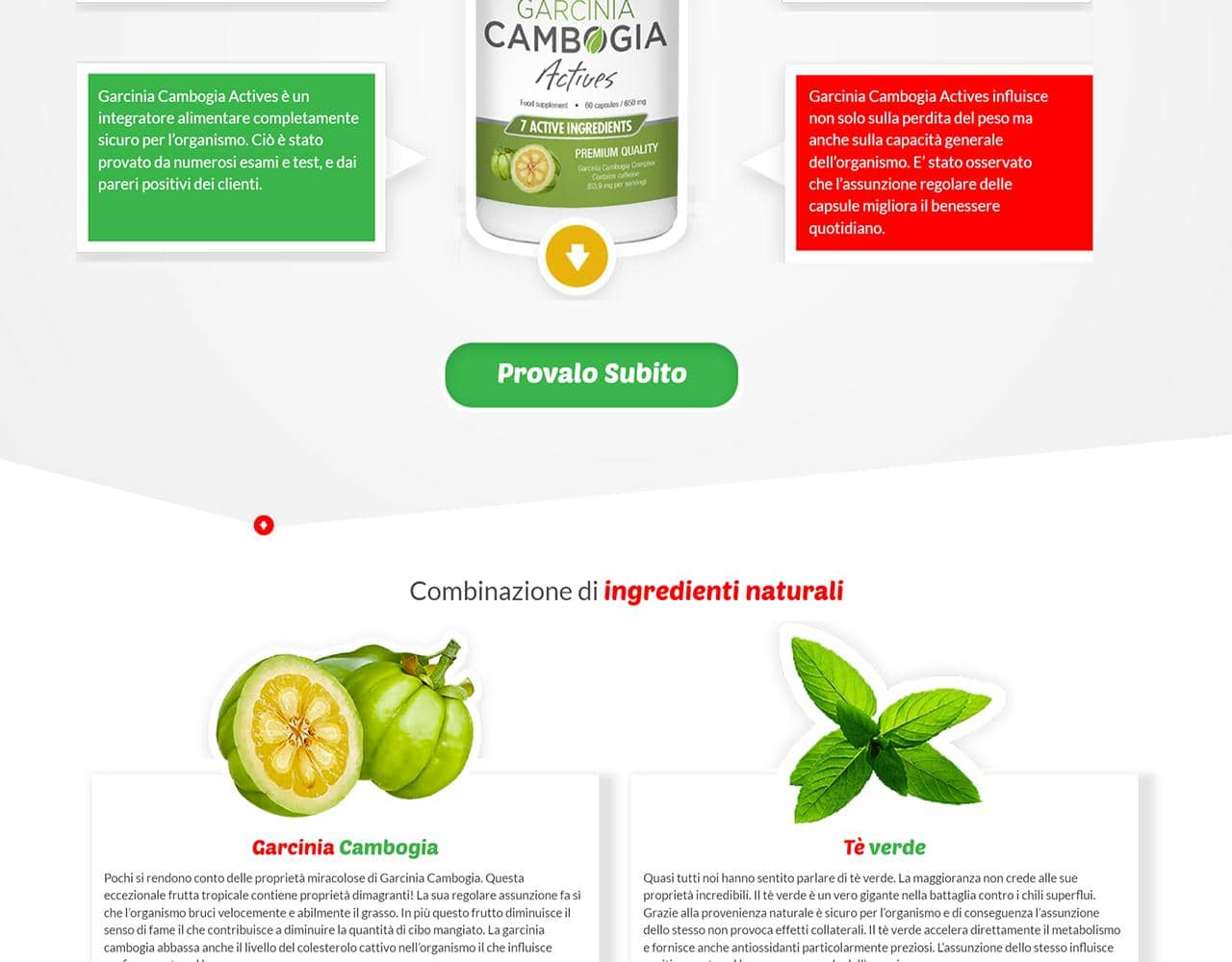 Garcinia Cambogia Actives 3