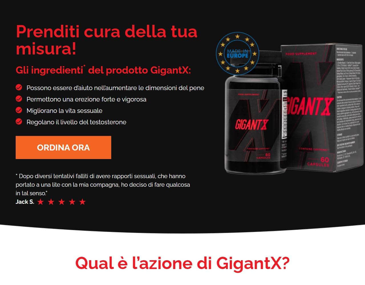 GigantX 1