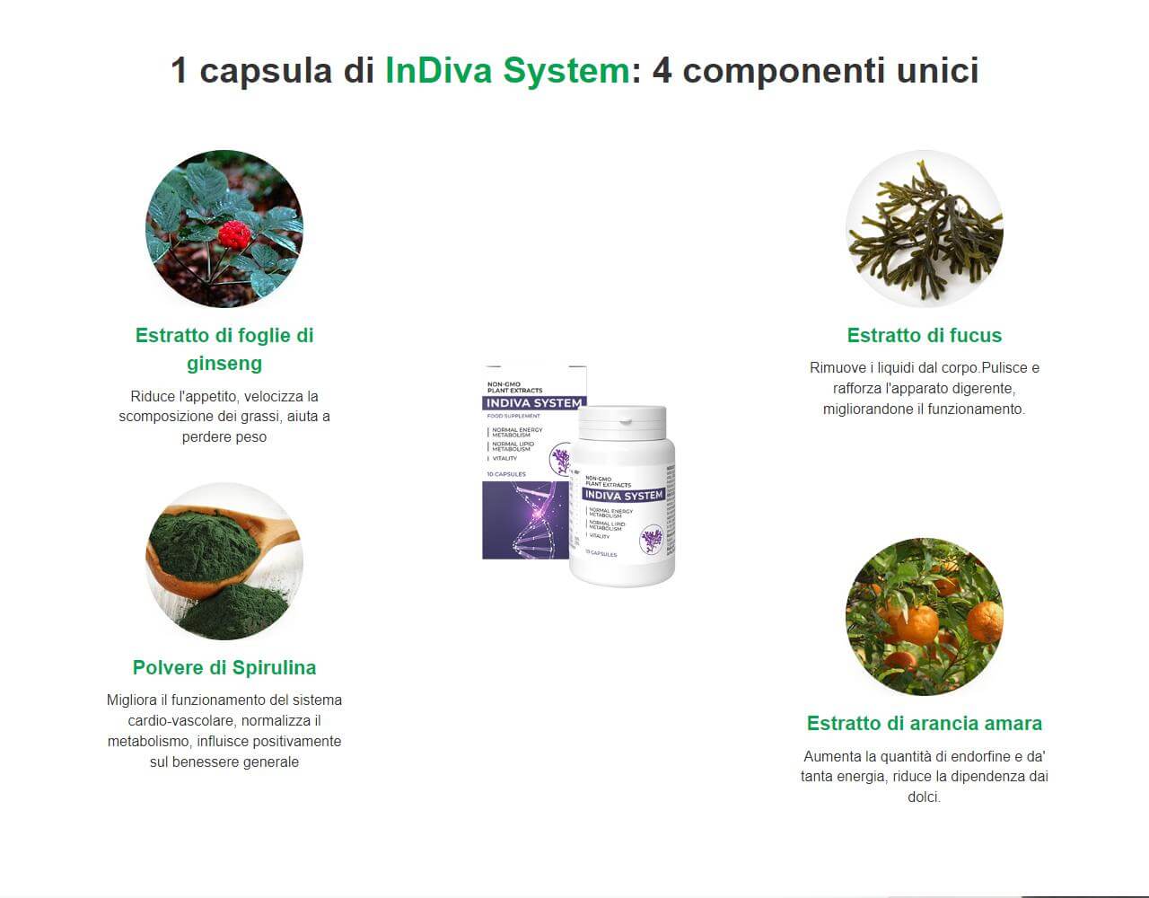 InDiva System 3