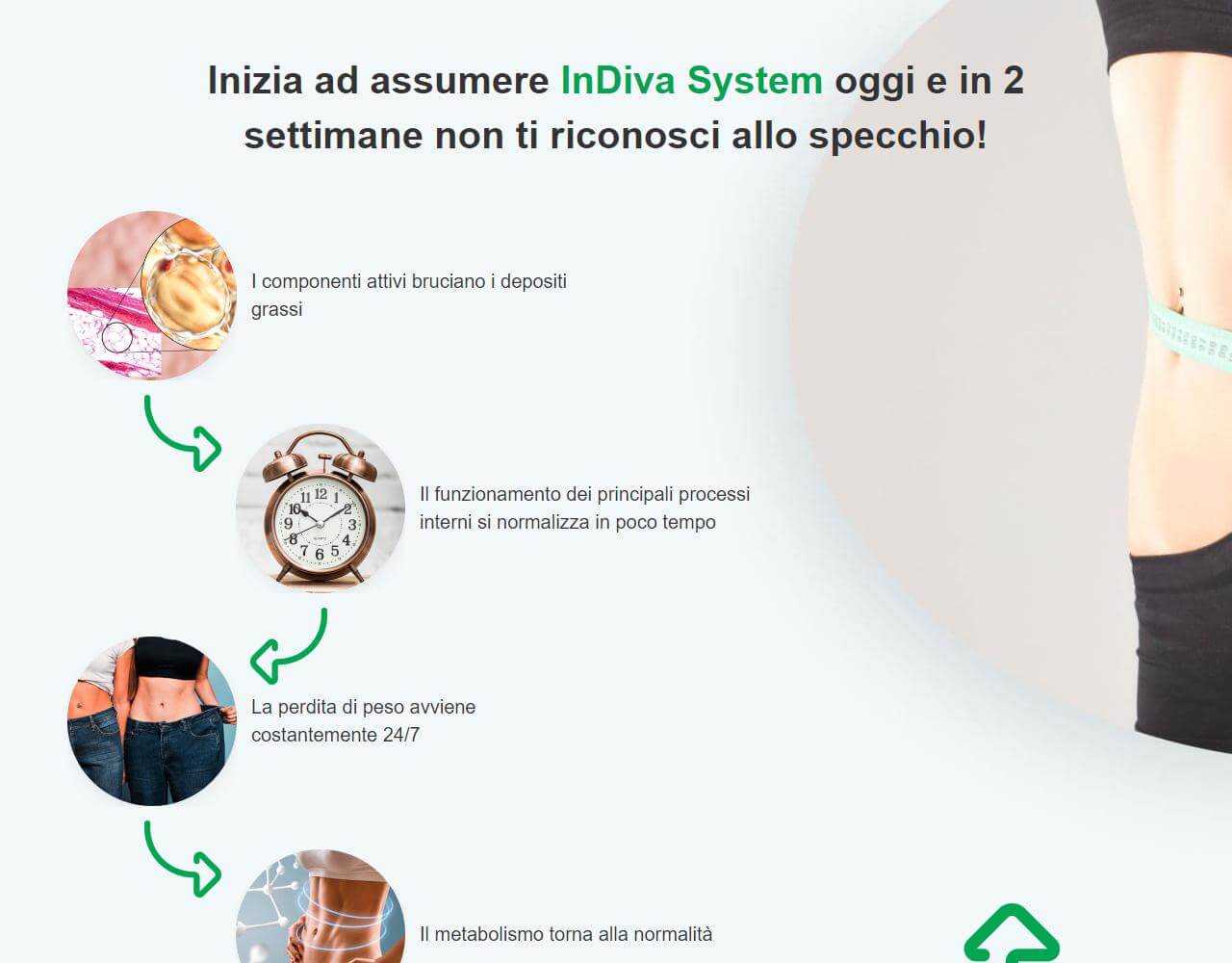 InDiva System 4