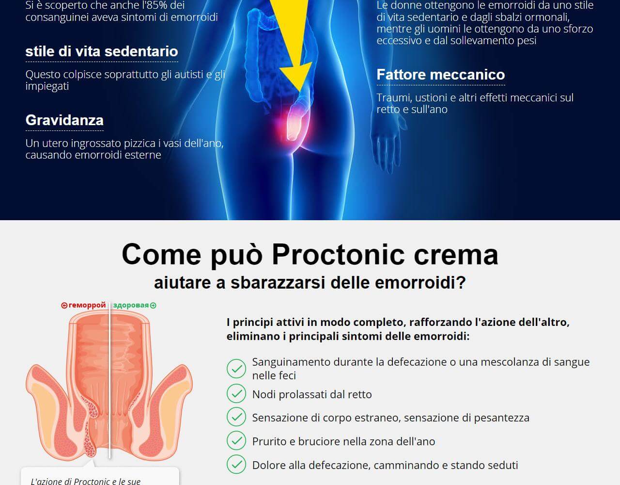 Proctonic 3