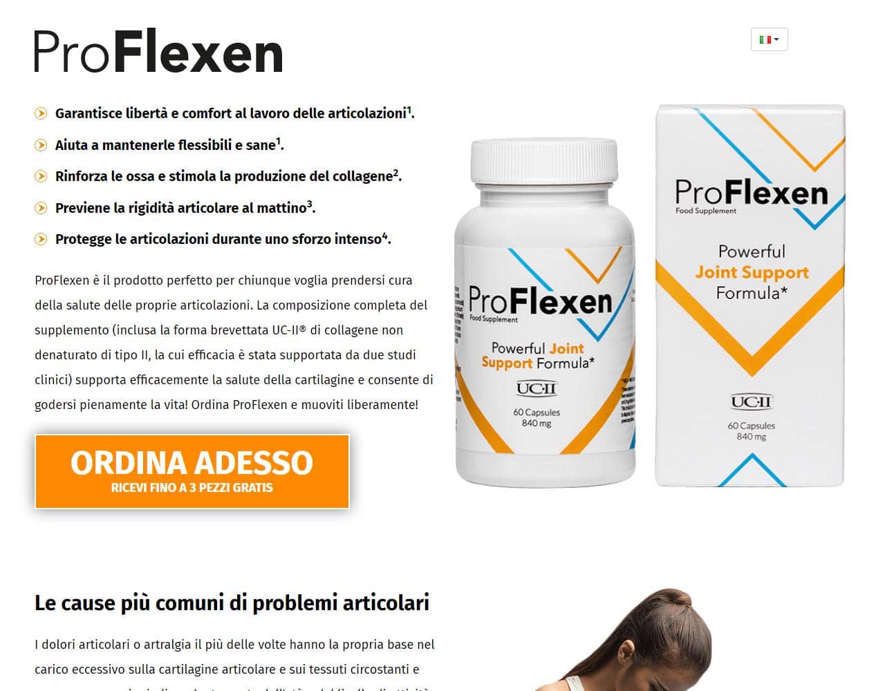 ProFlexen 1