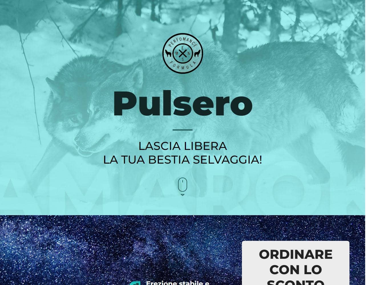 Pulsero 1